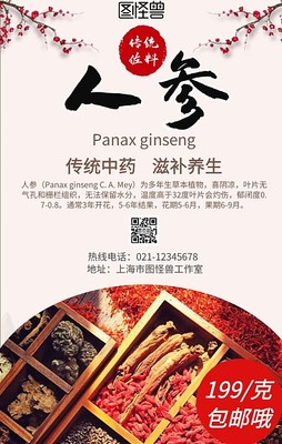 春节房地产营销海报模板图片-春节房地产营销海报模板在线设计-图司机