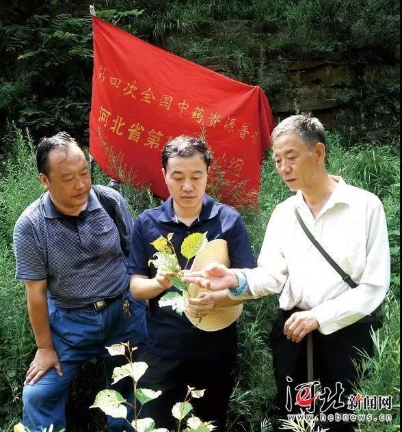 填补空白!《河北省本草图鉴》出版发行