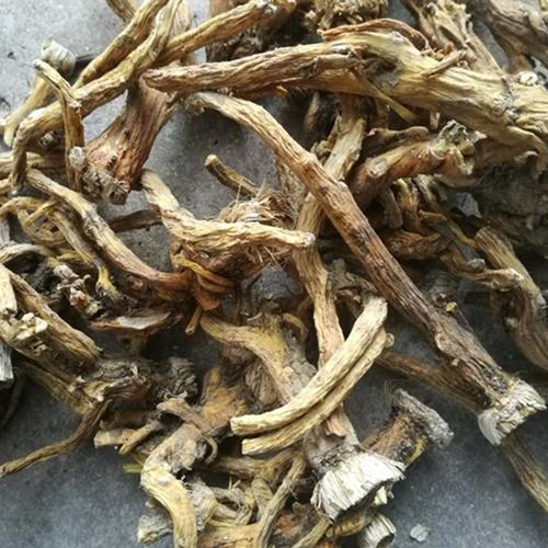 秦艽 云南中药材秦艽 云南地产药材大货